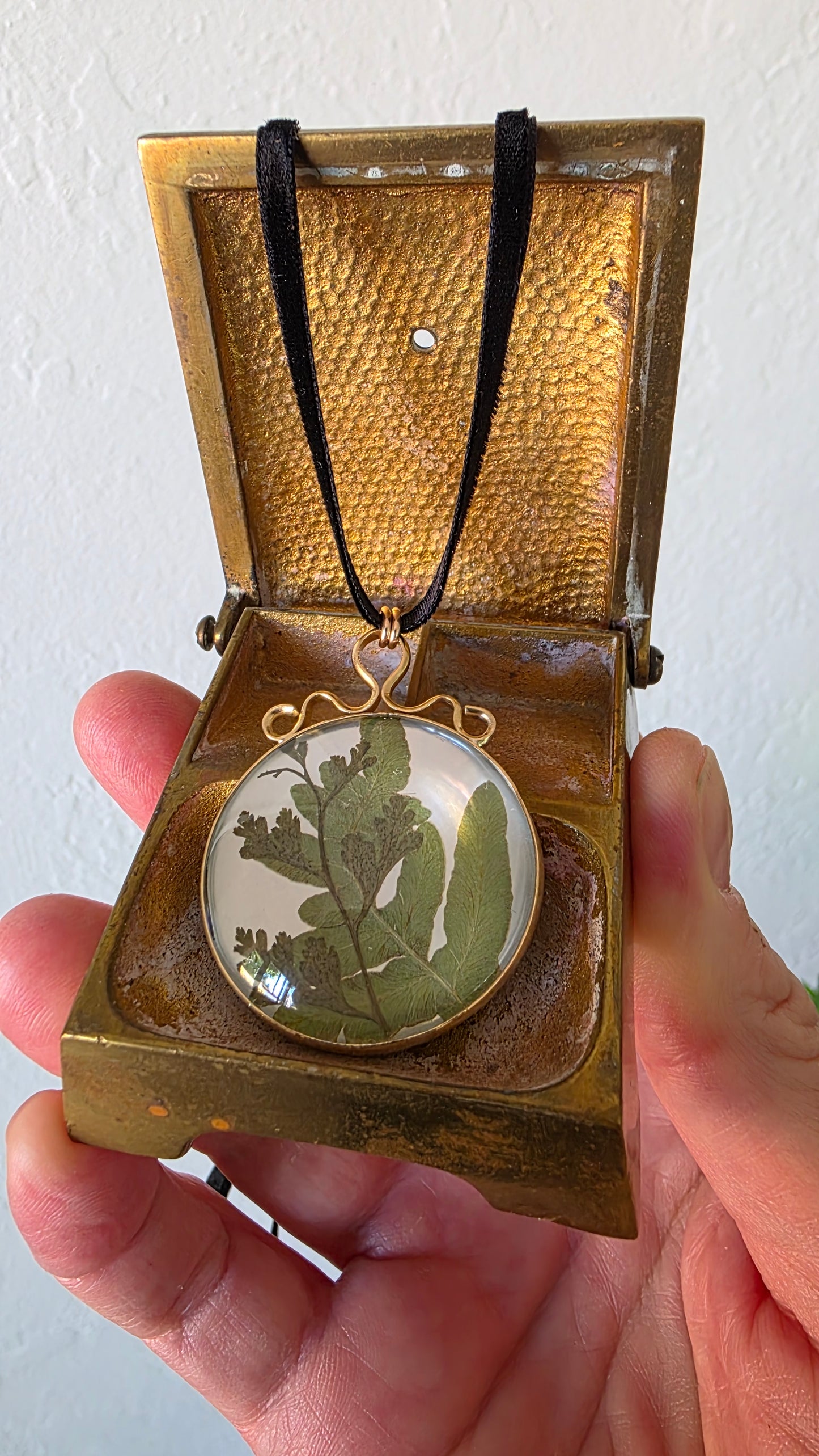 ENCAPSULATED FERN Pendant - Jeweler's Brass