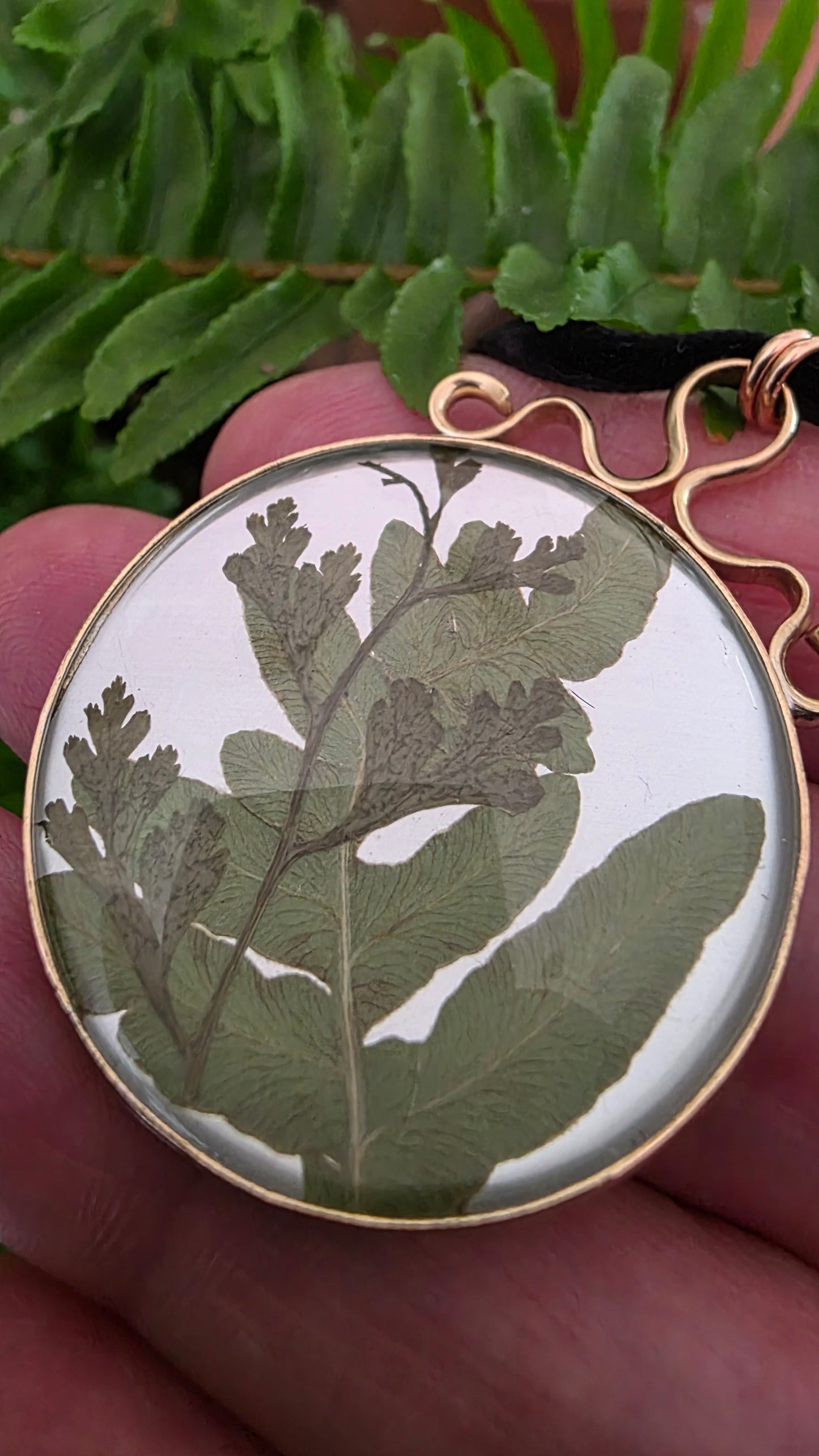 ENCAPSULATED FERN Pendant - Jeweler's Brass