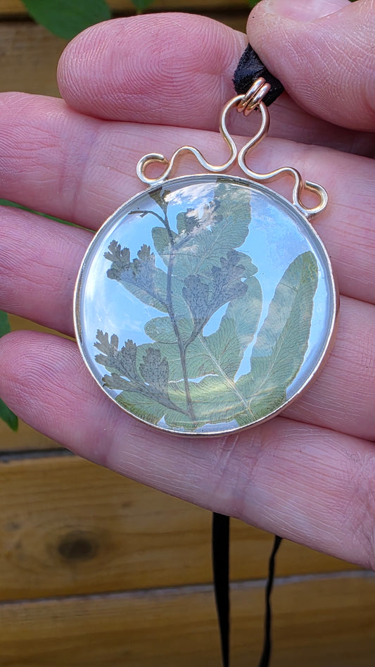 ENCAPSULATED FERN Pendant - Jeweler's Brass