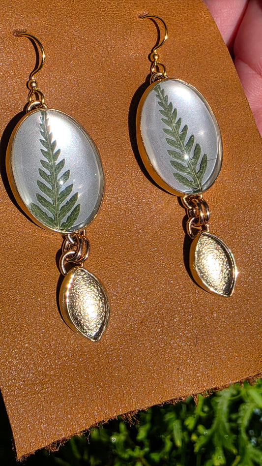 ENCAPSULATED FERN Earrings - Jeweler's Brass