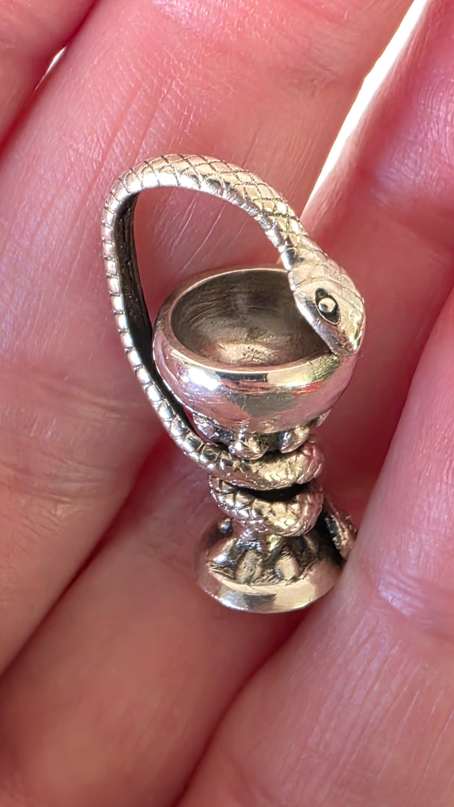BOWL OF HYGEIA Pendant Only - Sterling Silver